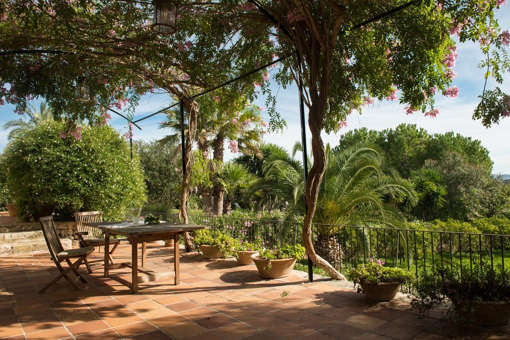 Feliu Casa de camp