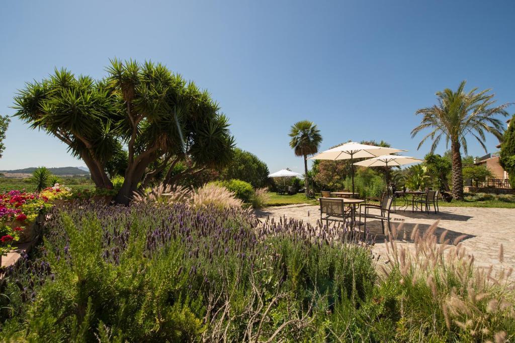 Casa de camp Feliu