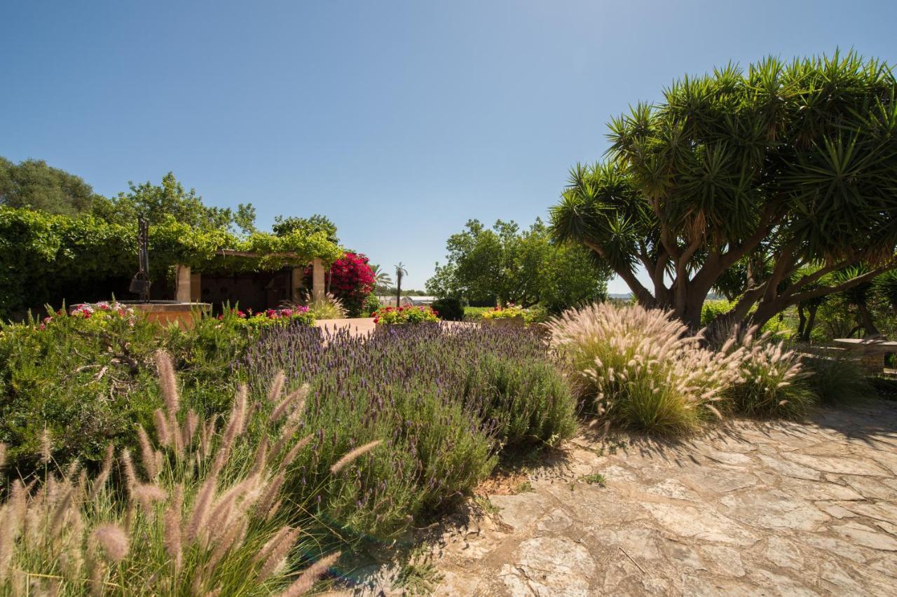 Feliu Casa de camp